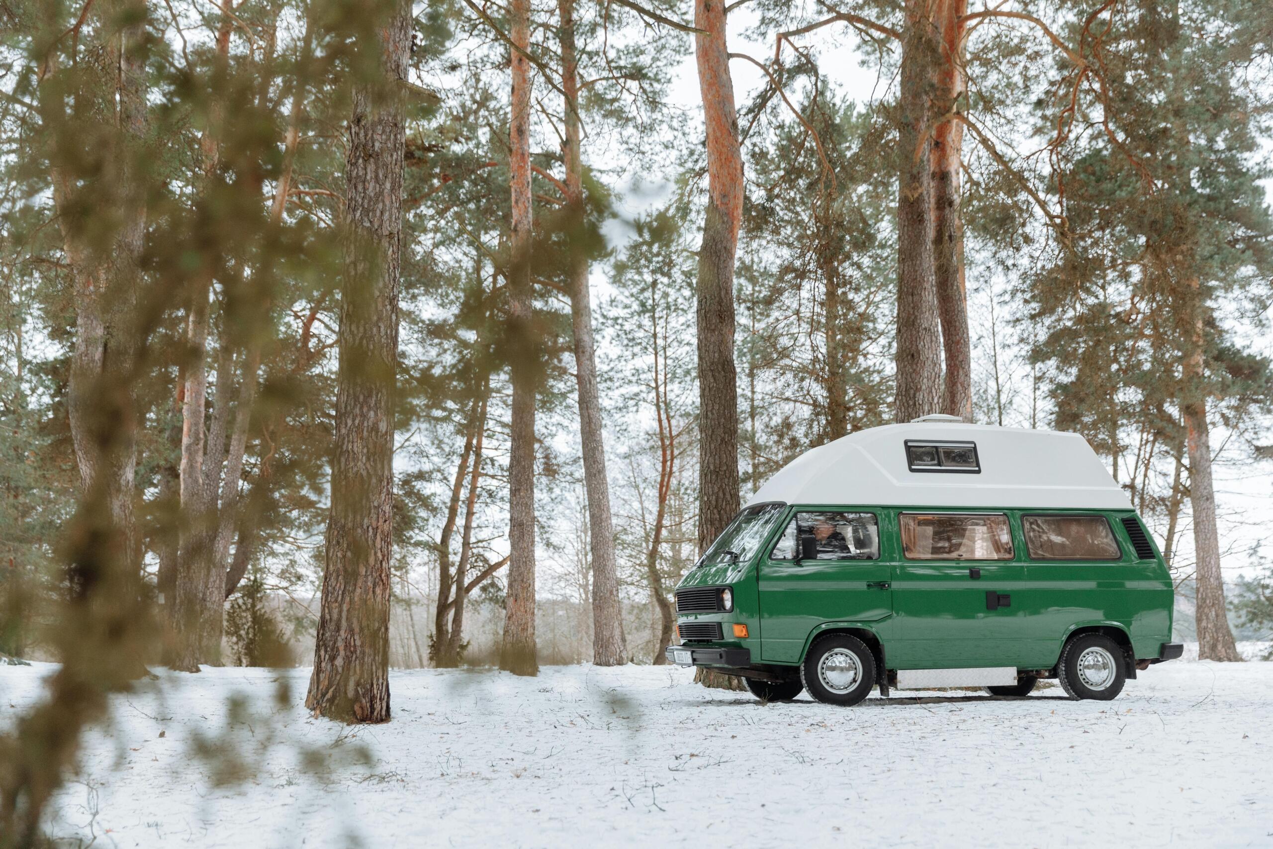 Gap year ideas