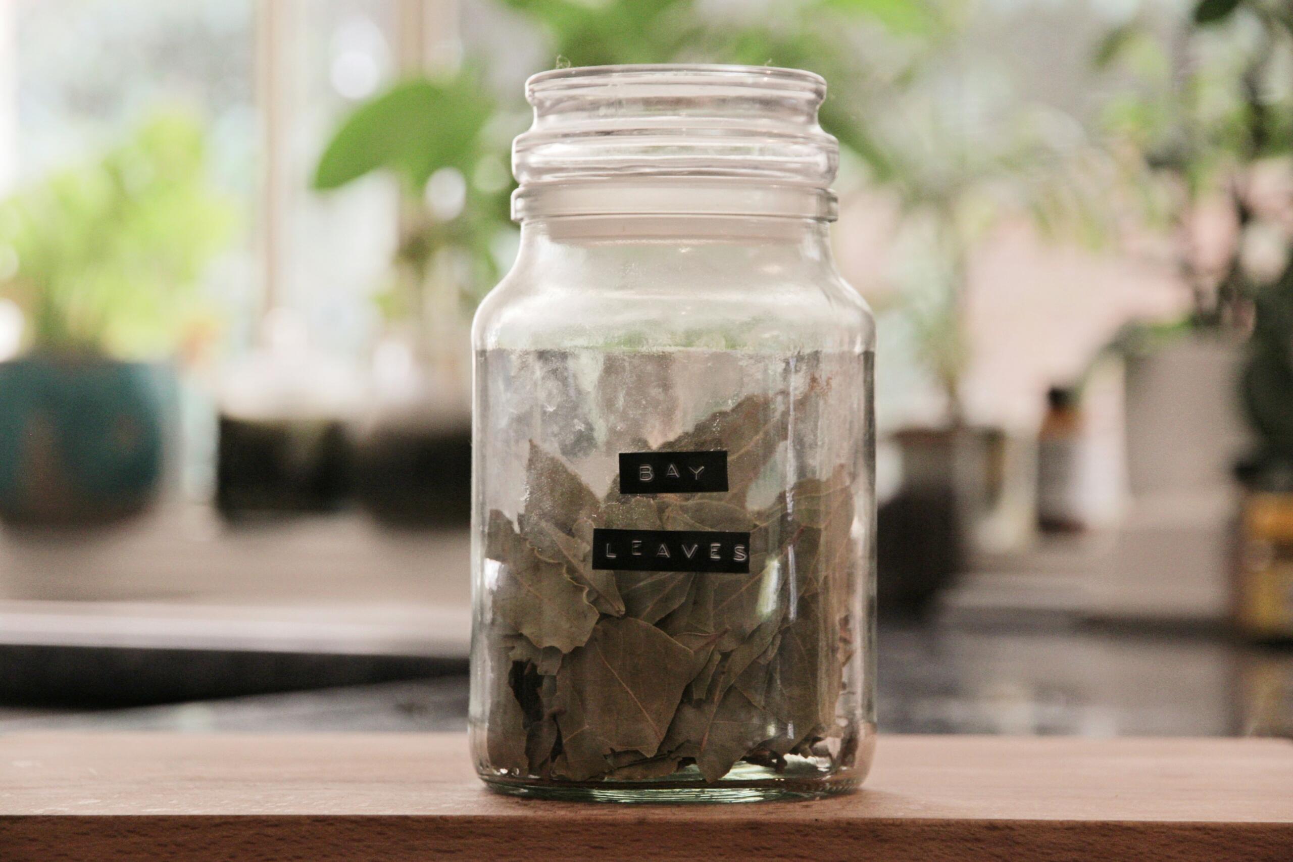 a jar filled with bay leaves placed on a countertop near a window