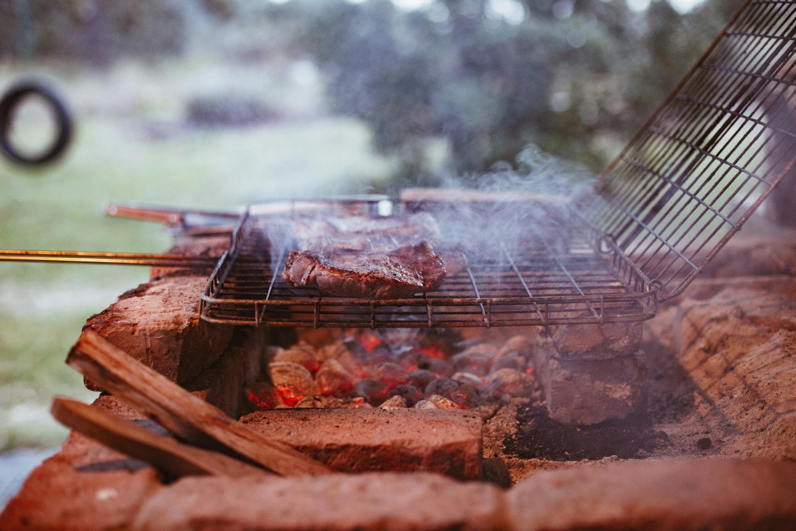steaks grilling on braai grill over wood and charcoal fire