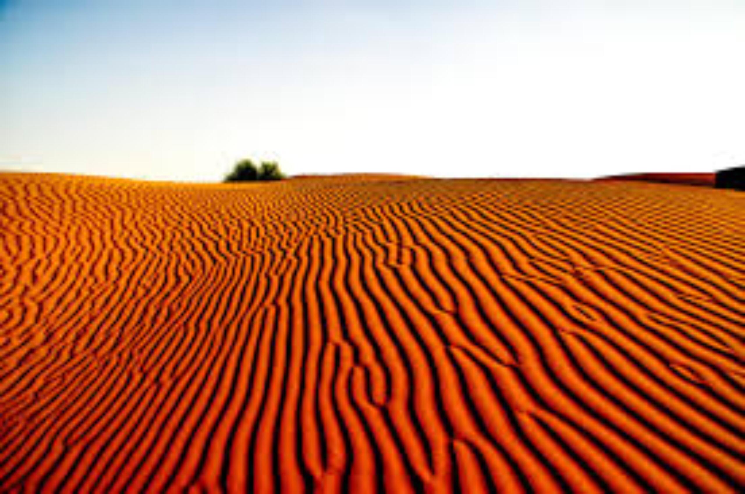 Arabic is considered one of the most beautiful languages