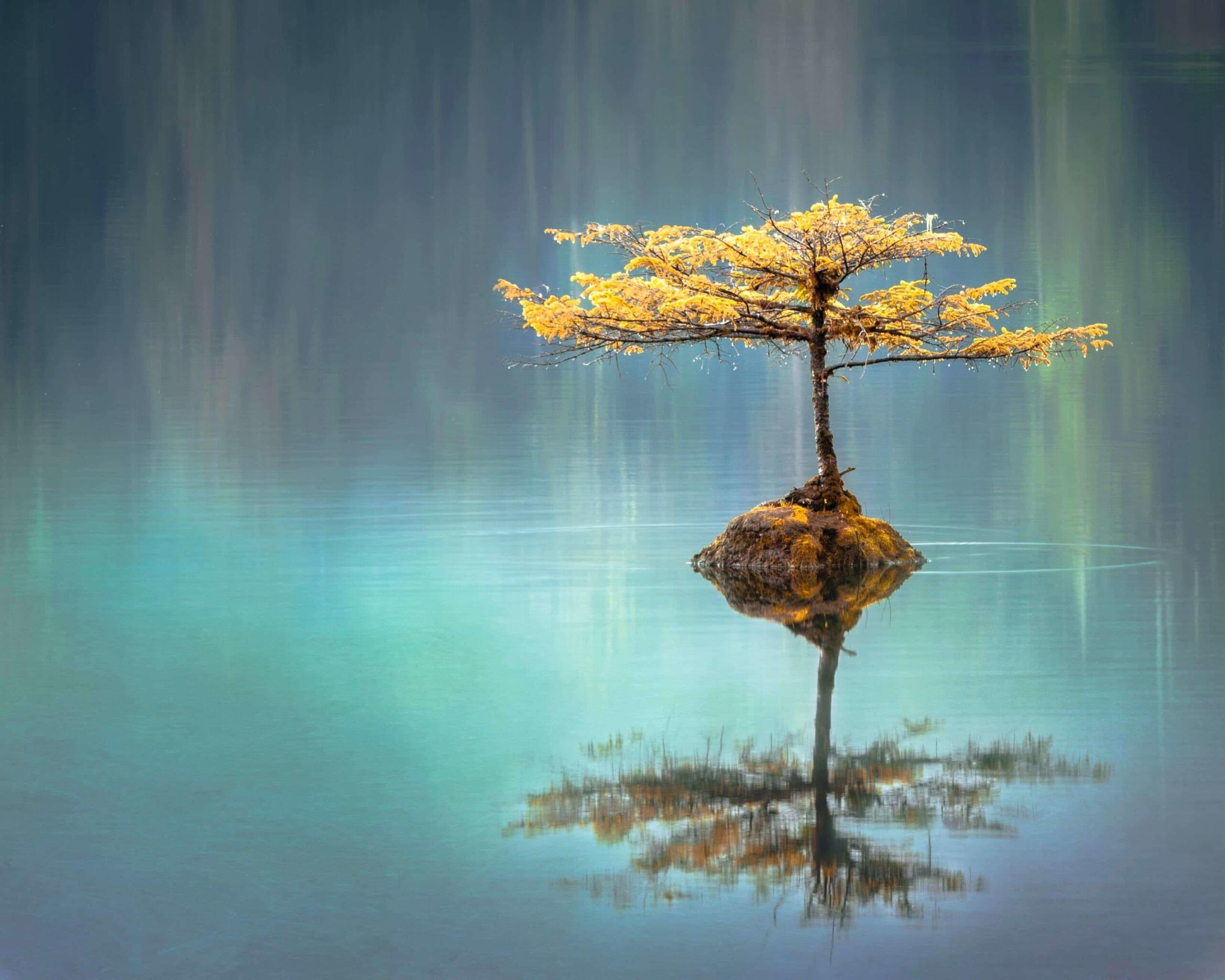 specular reflection