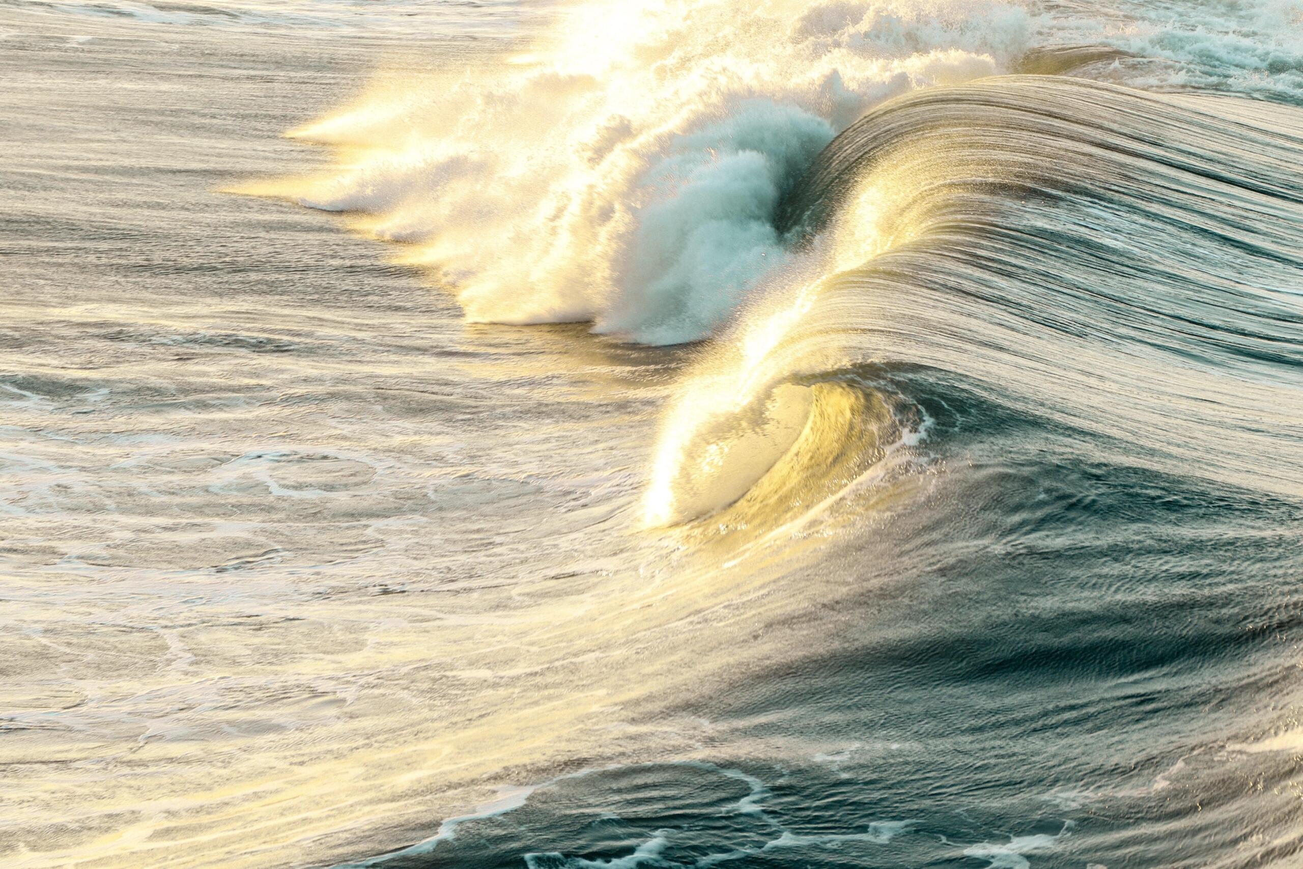 an ocean wave