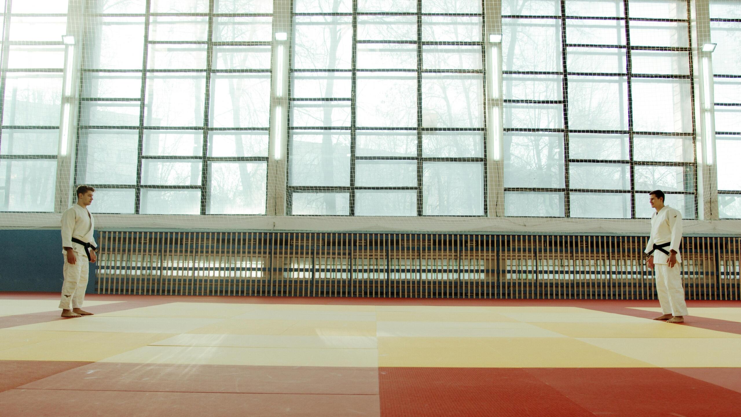 Paired up for a martial arts stand-off.