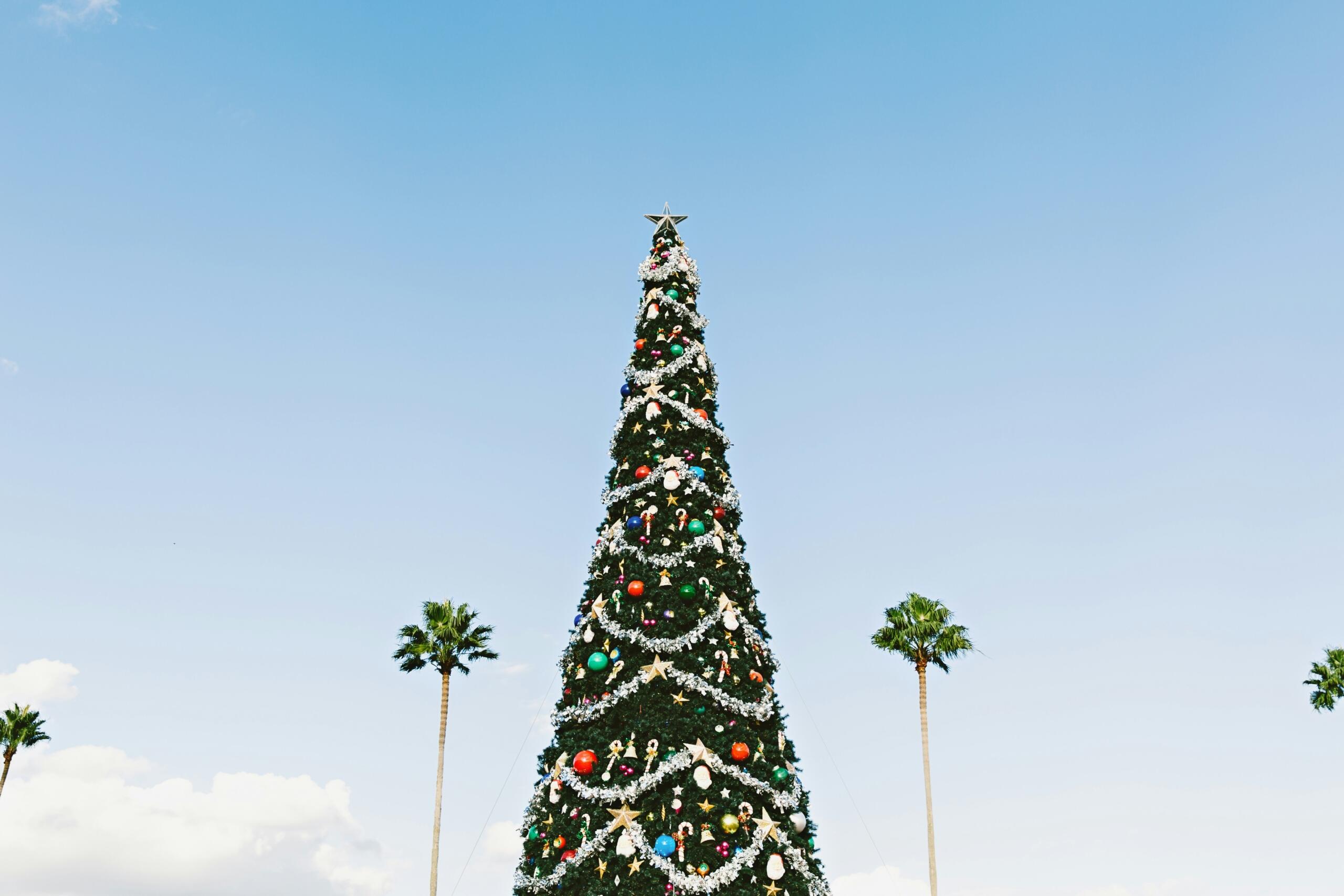 large decorated Christmas tree under blue sky with palm trees in the background