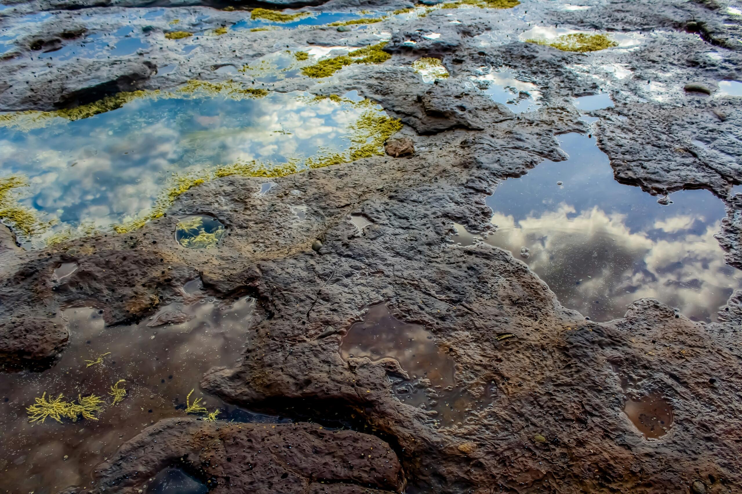 reflections in a Rock pool