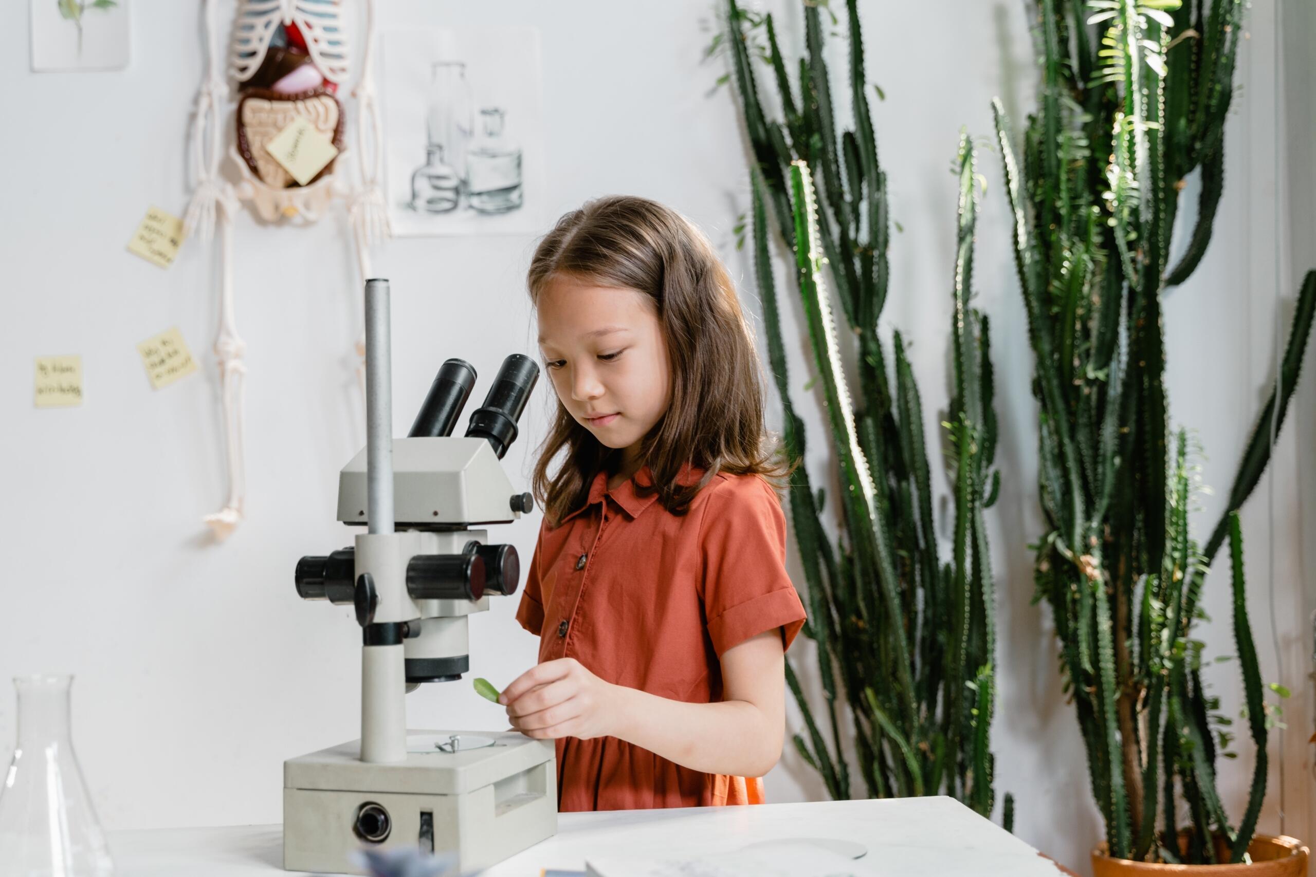 young girls in a science classroom using a microscope to examine a leaf