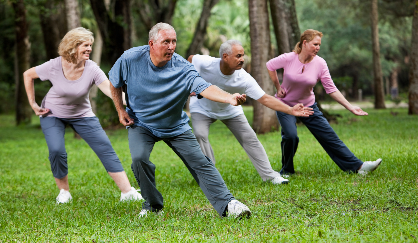 An image of a group of seniors practising Tai Chi in a park.