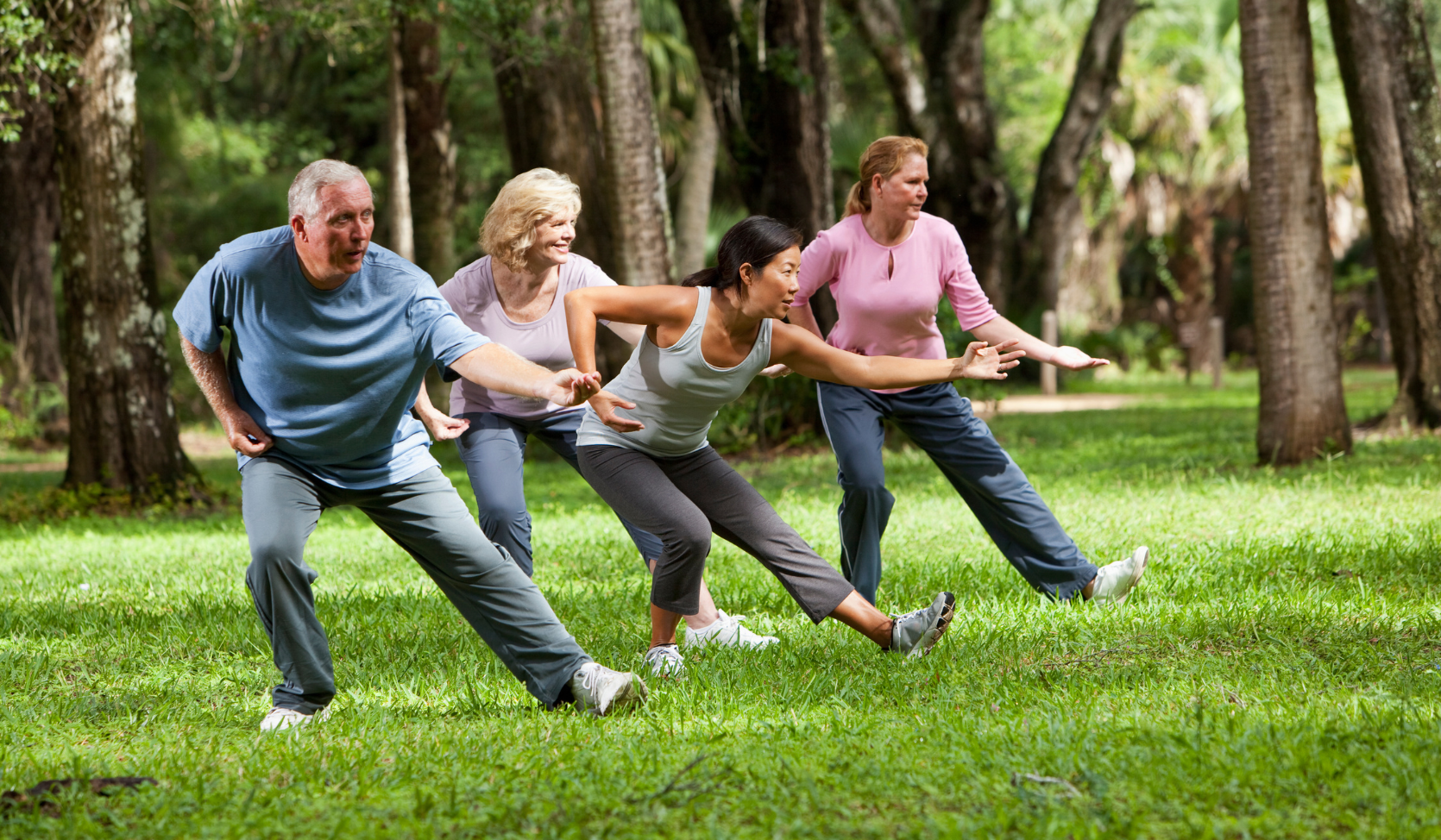 An image of a group of people practising Tai Chi in park surroundings. 