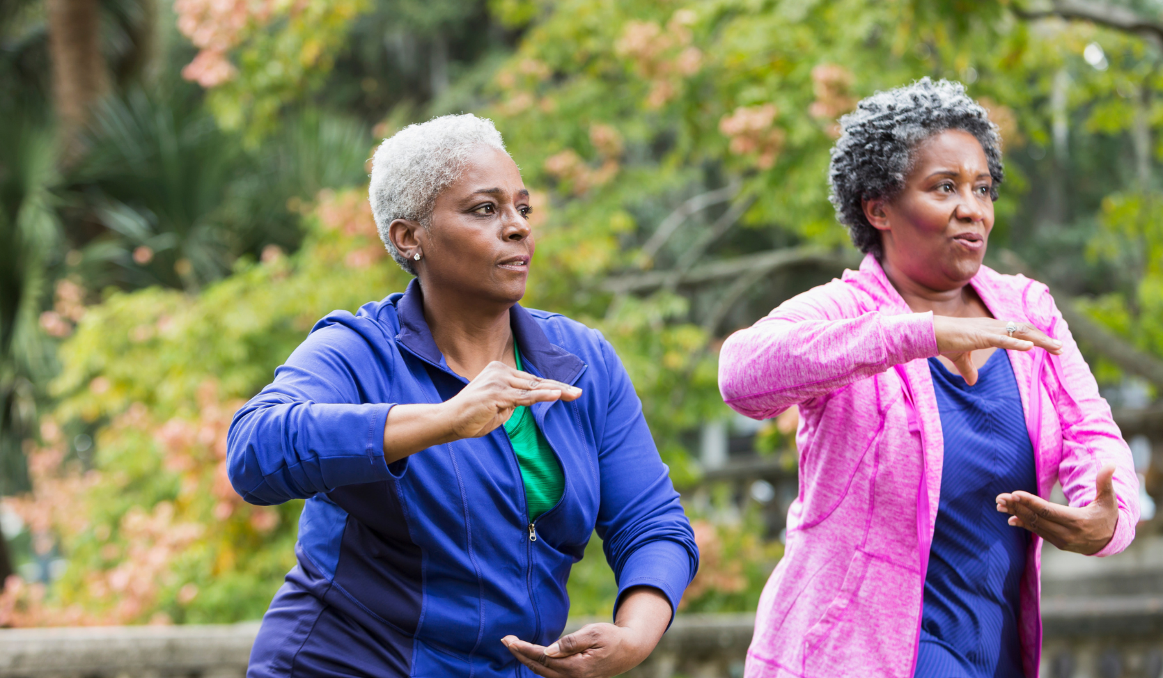 An image of two women practising Tai Chi in a park.