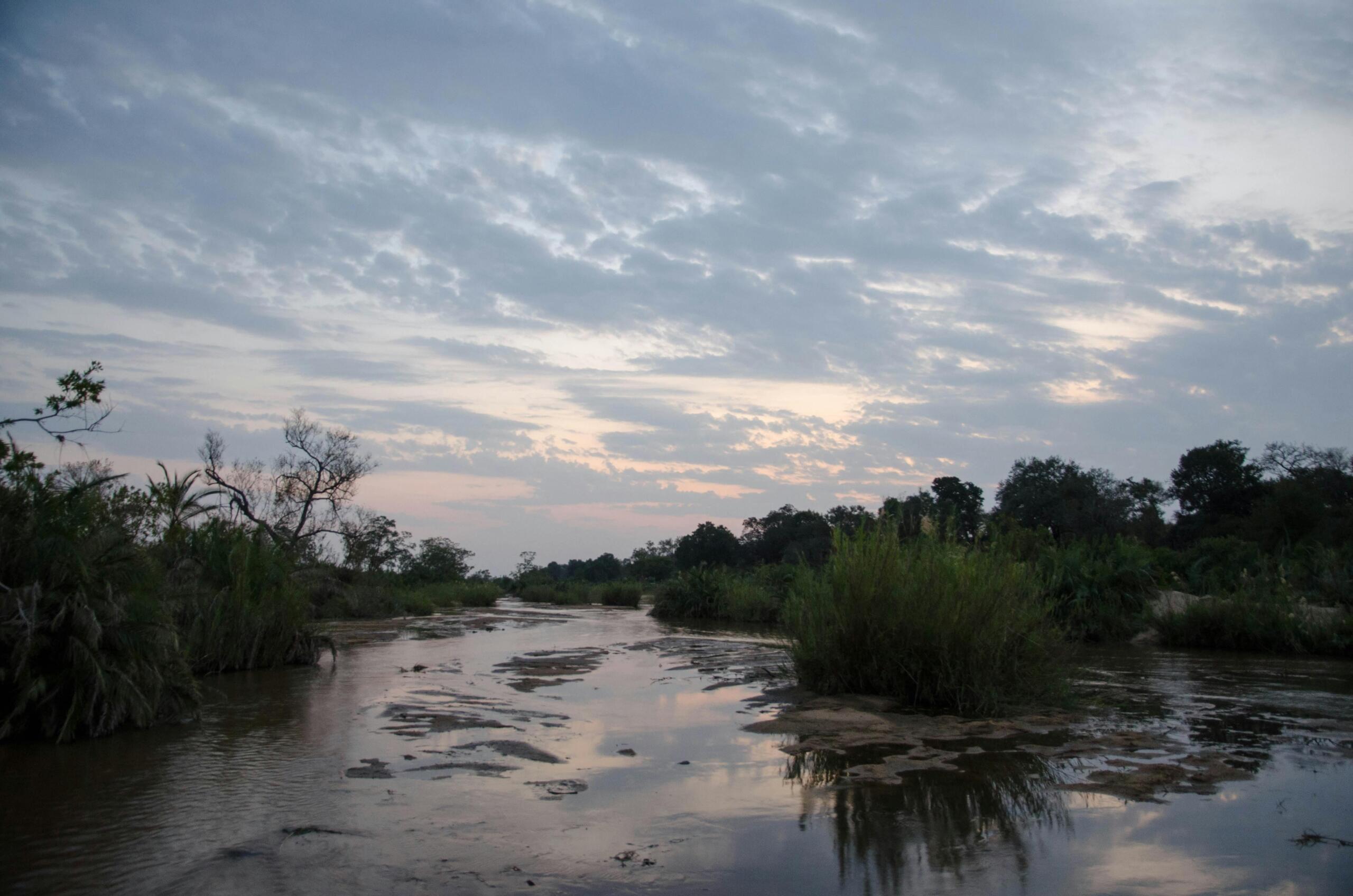 An image of a river in Mpumalanga. 