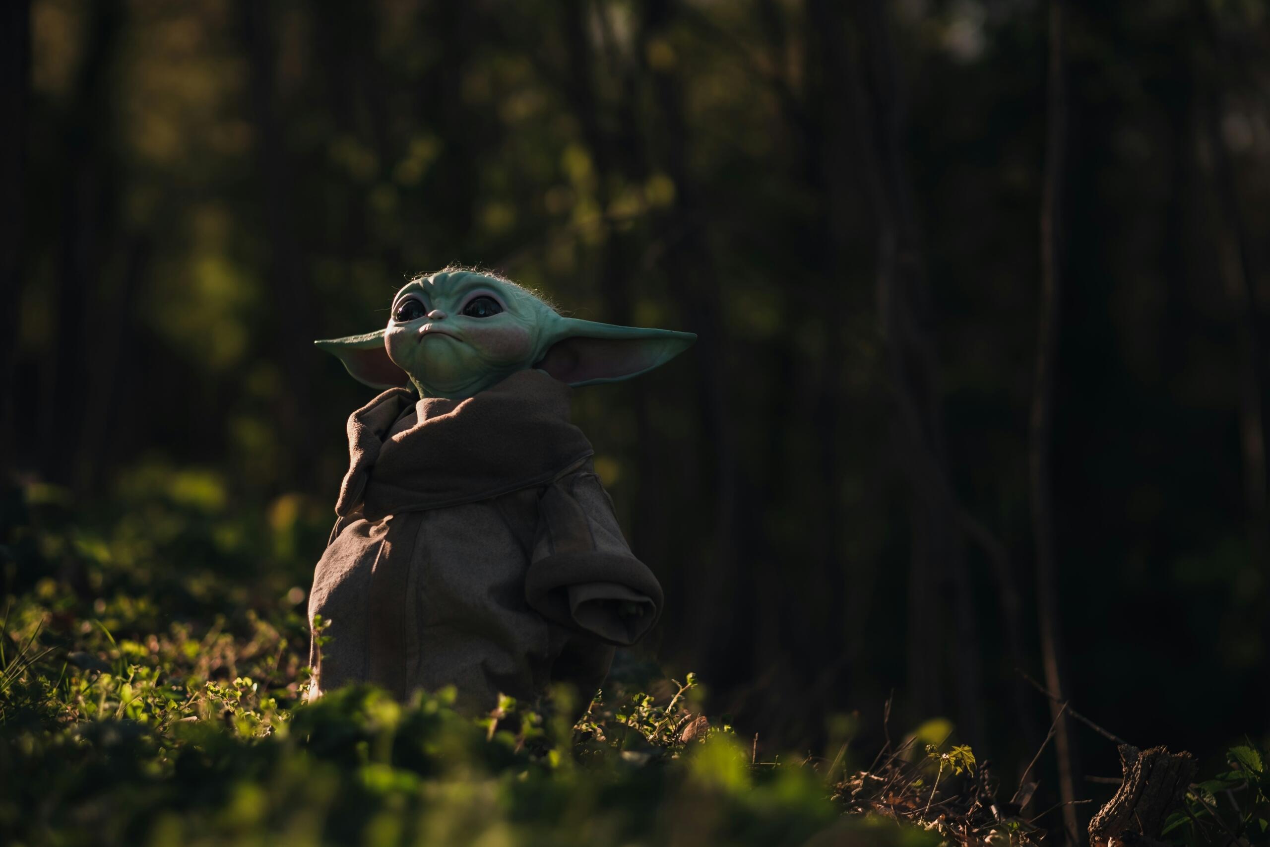 yoda stadning in a shady forest