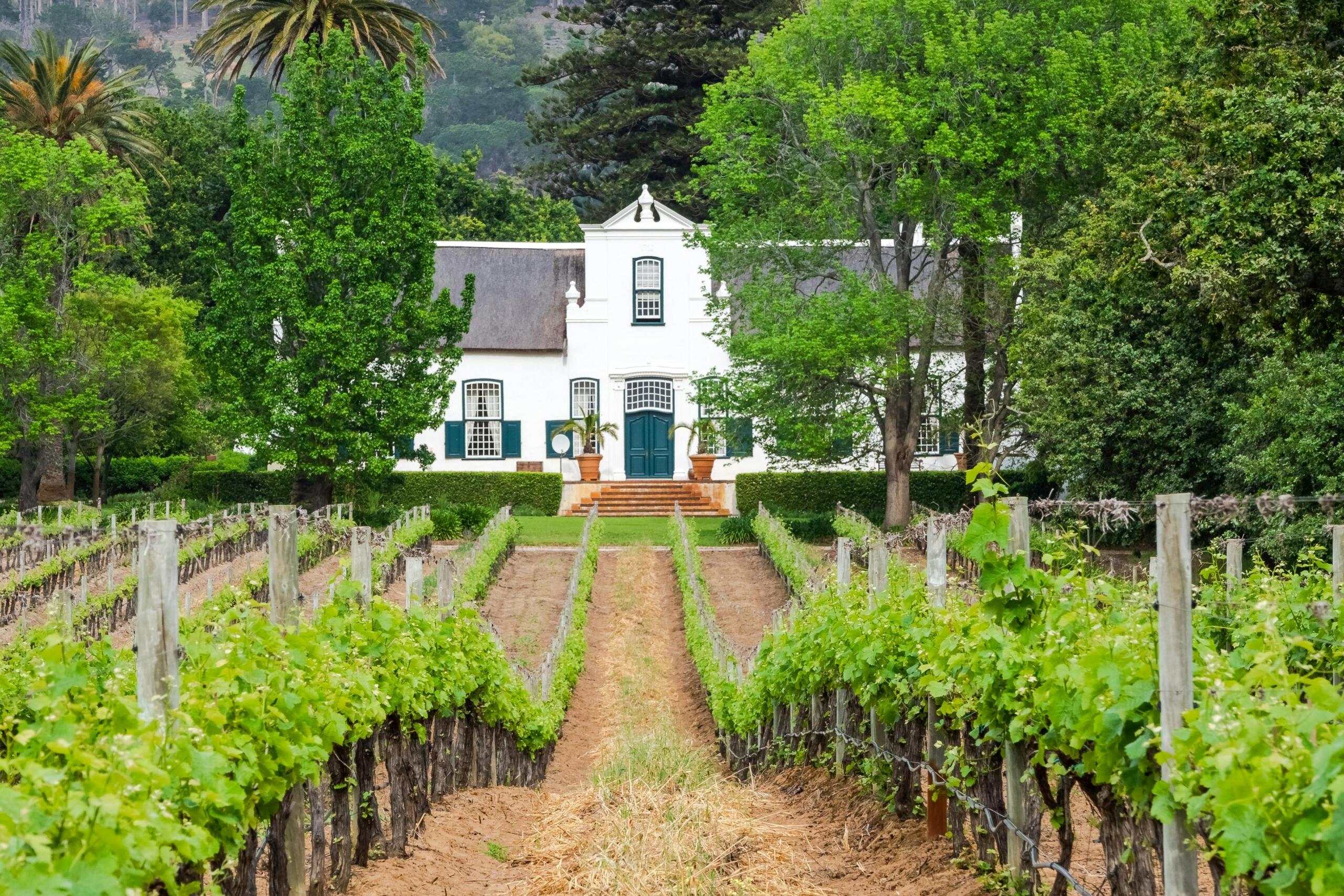 An image of Cape Dutch architecture