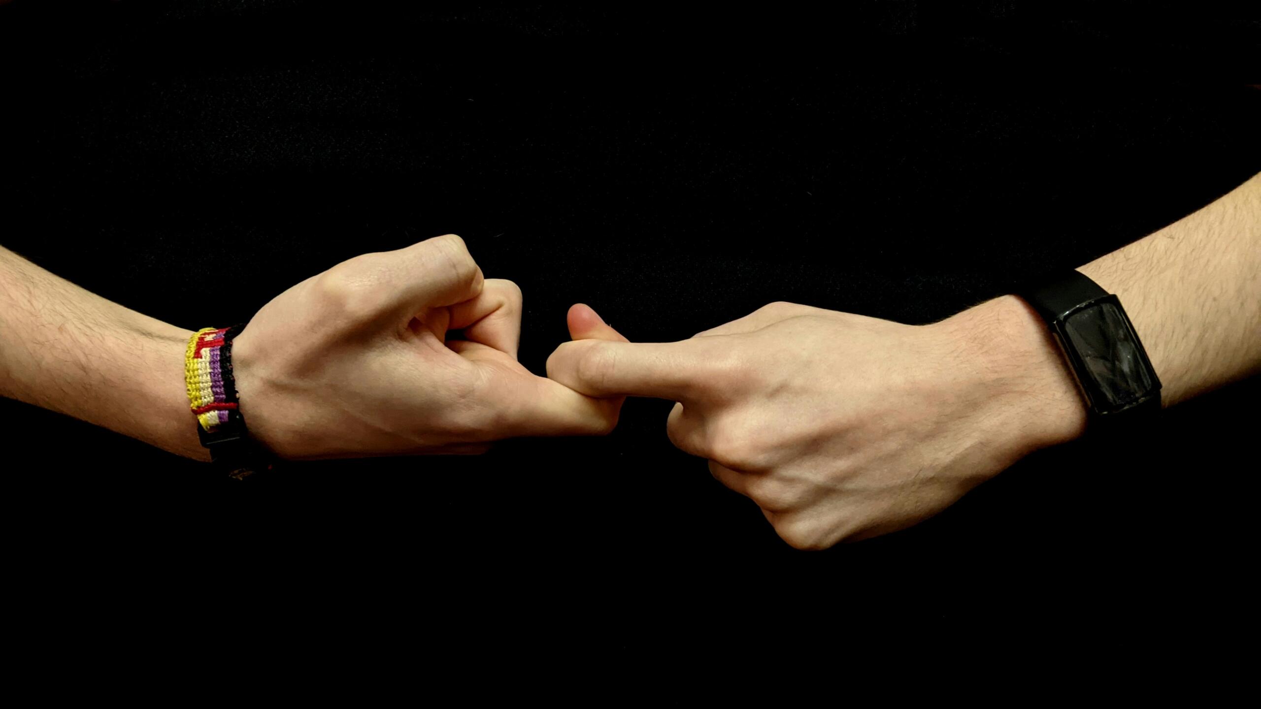 An image of hands using sign language.