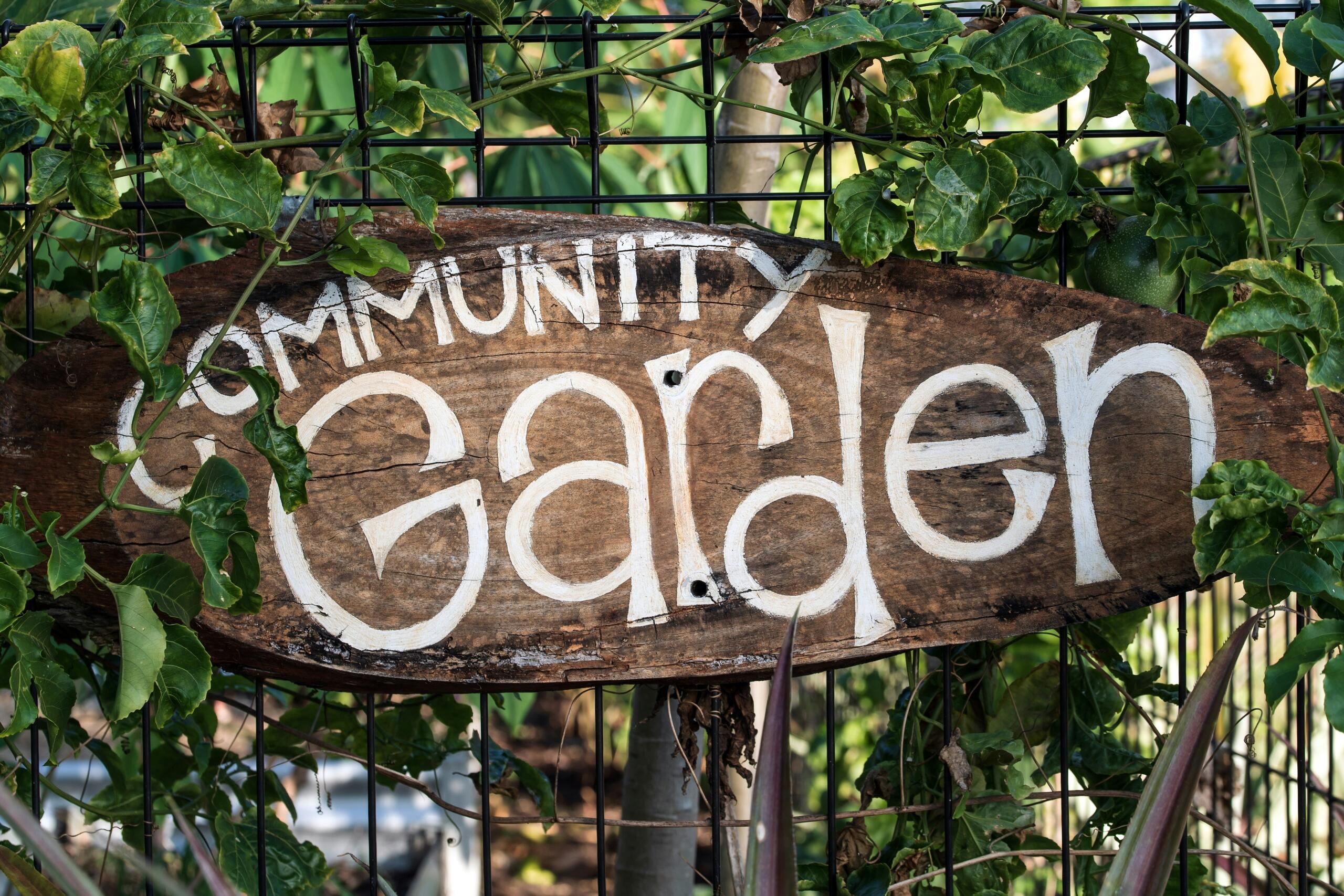 An image of a rustic saying "community garden".