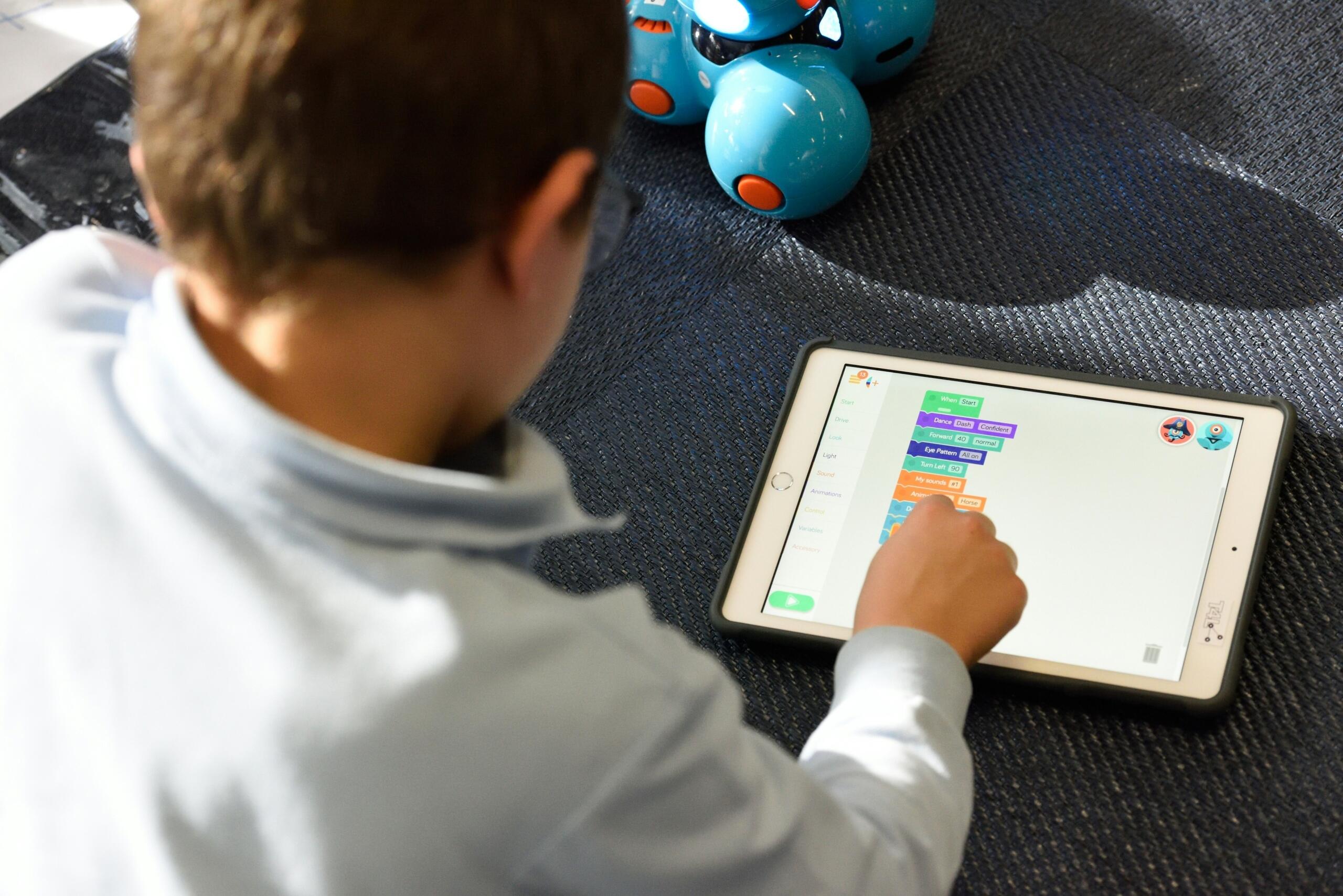 An image of a student using a digital visual aid for learning.