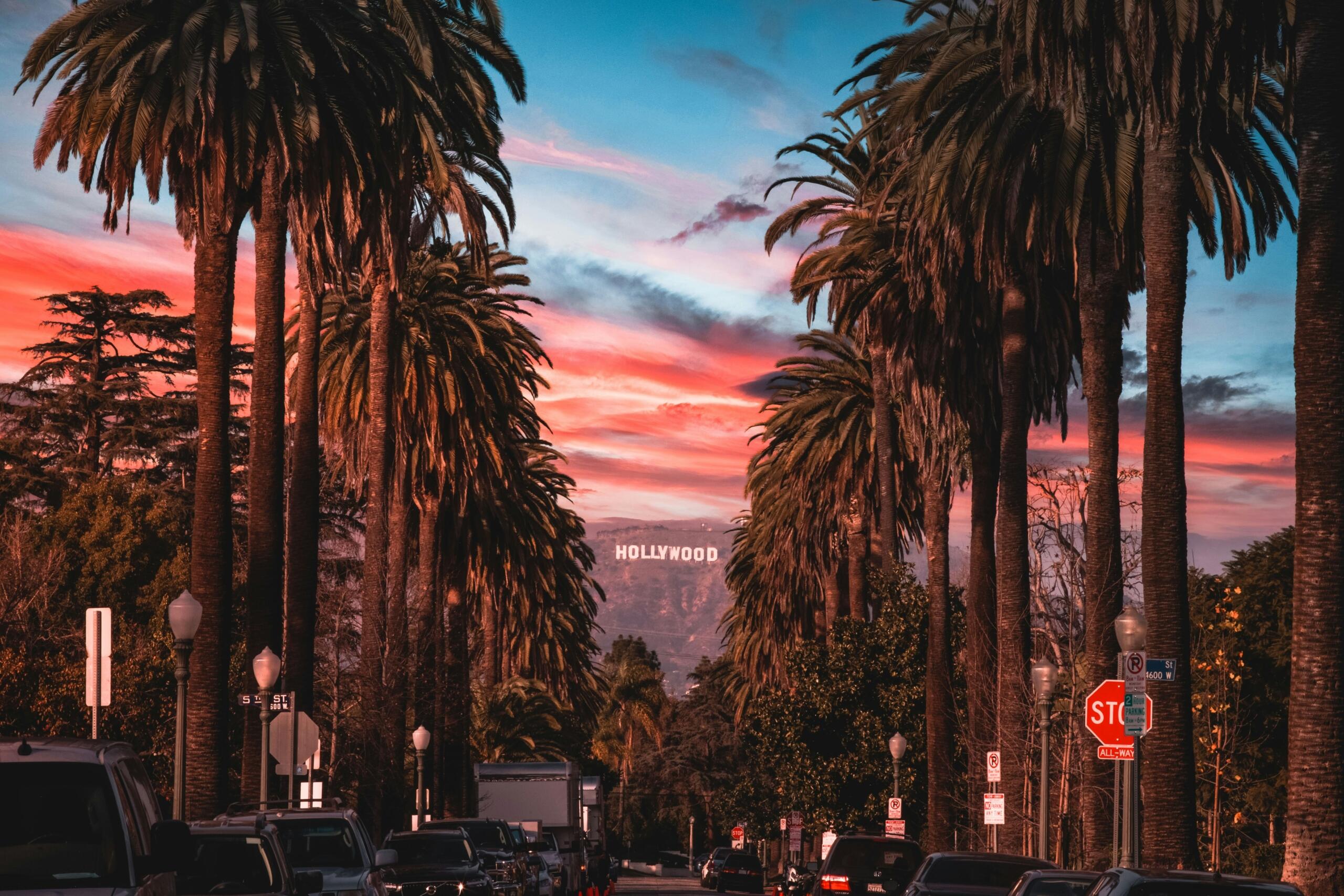 Hollywood sign among palm trees at sunset.