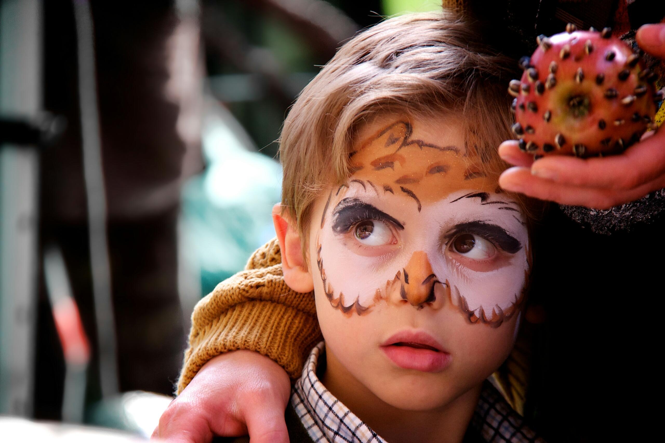 An image of a child with a face painted as a lion.