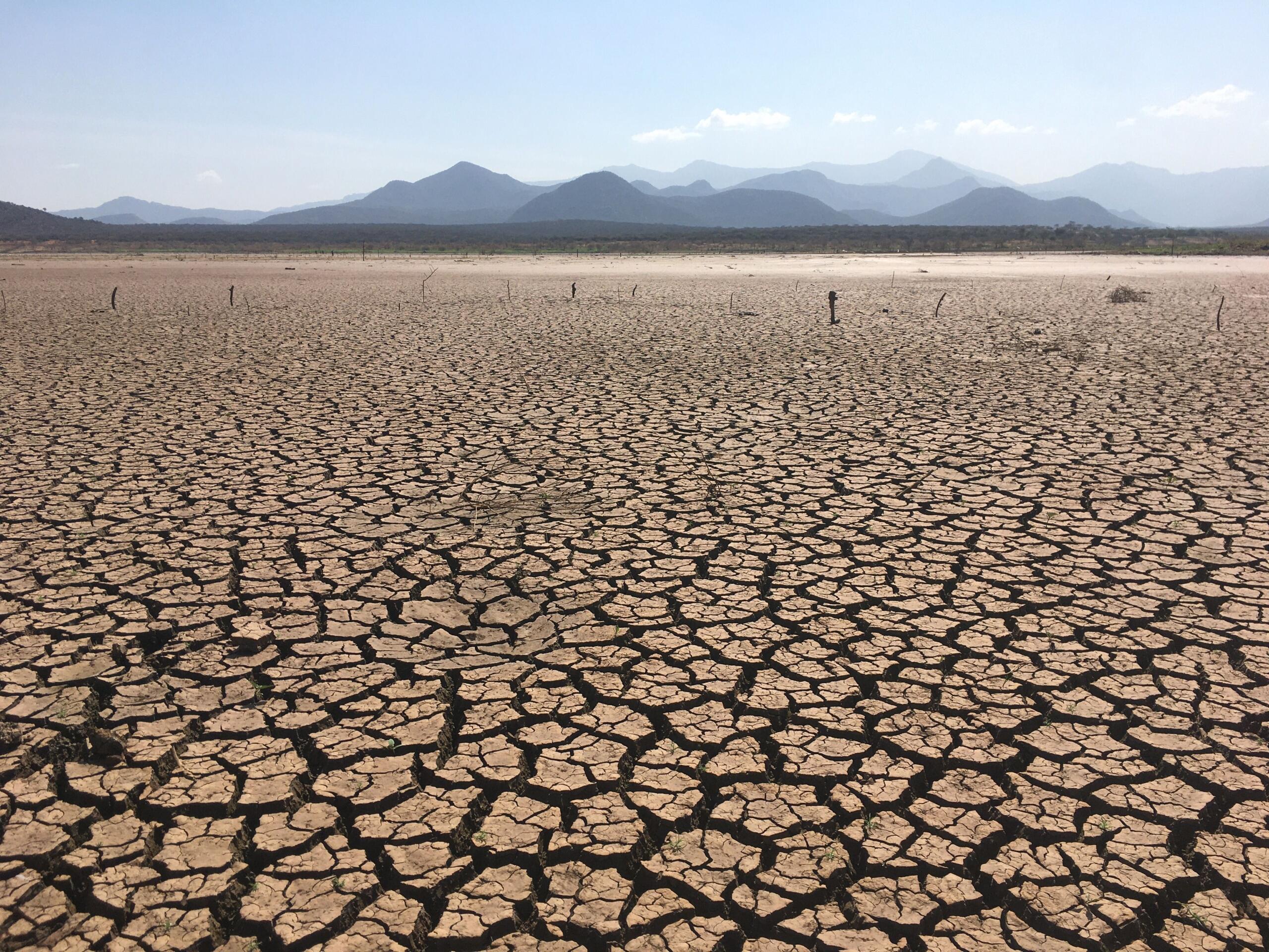 Cracked, dry landscape beneath distant mountains, evoking the Pride Lands after Scar takes control.