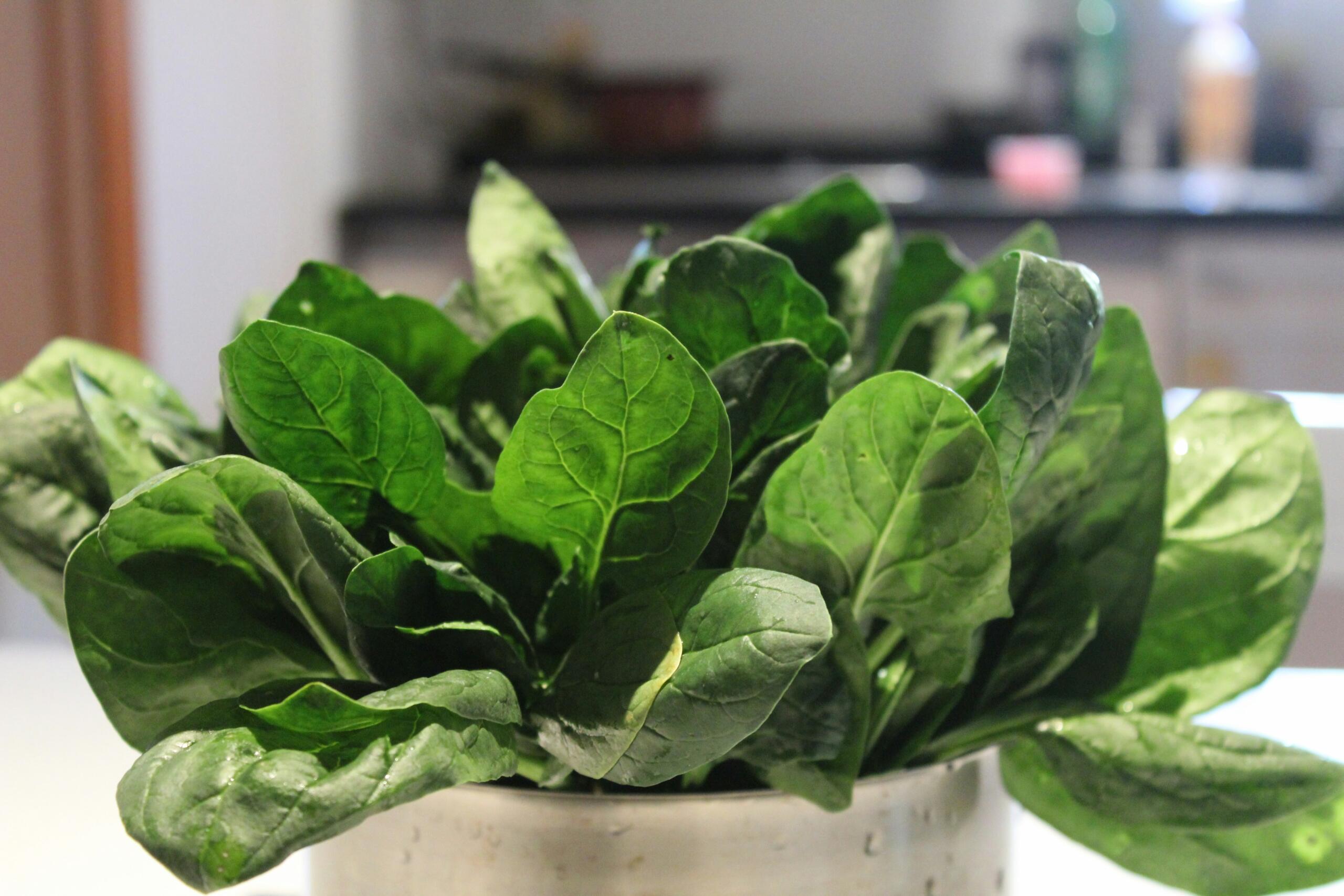 Spinach on the table